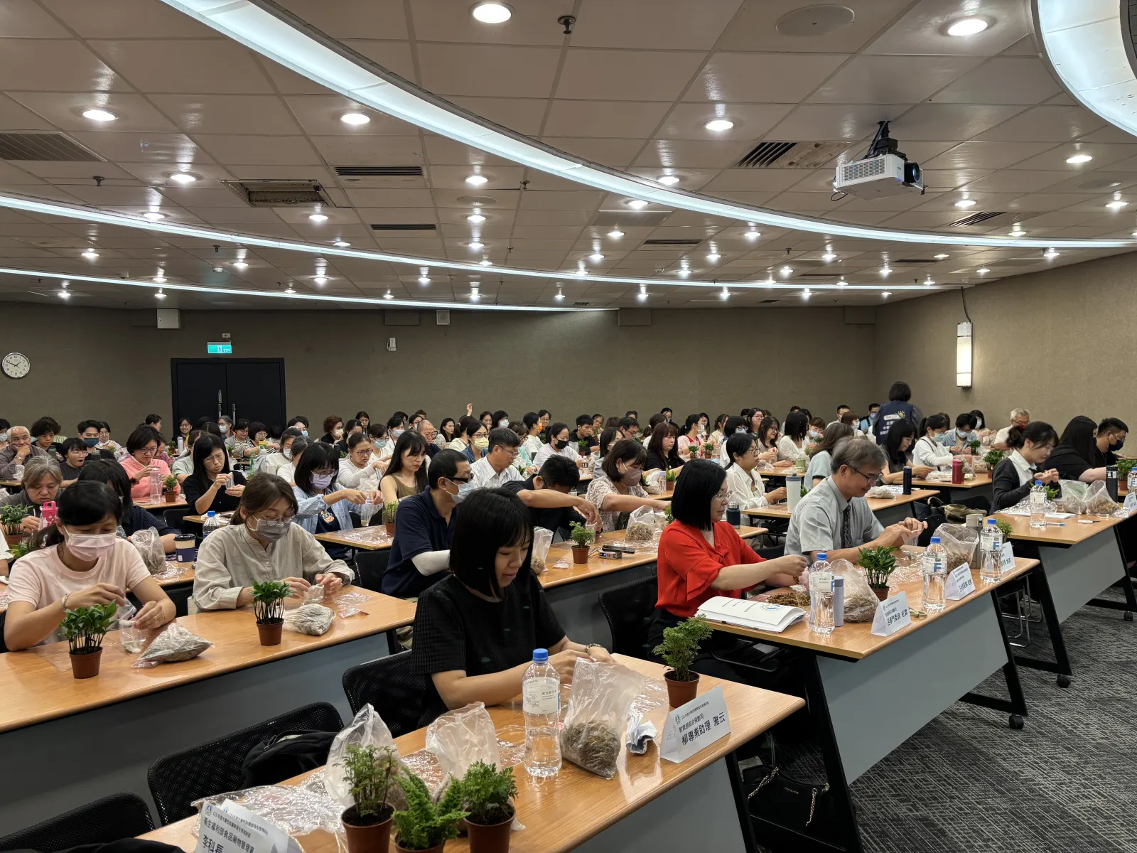 研習教室裡，一百五十位營養師與護理師低頭動手製作苔球植栽