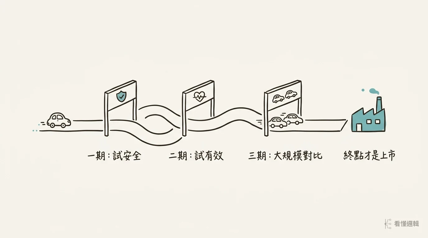 臨床試驗三期像測試跑道：一期試安全、二期試有效、三期大規模對比